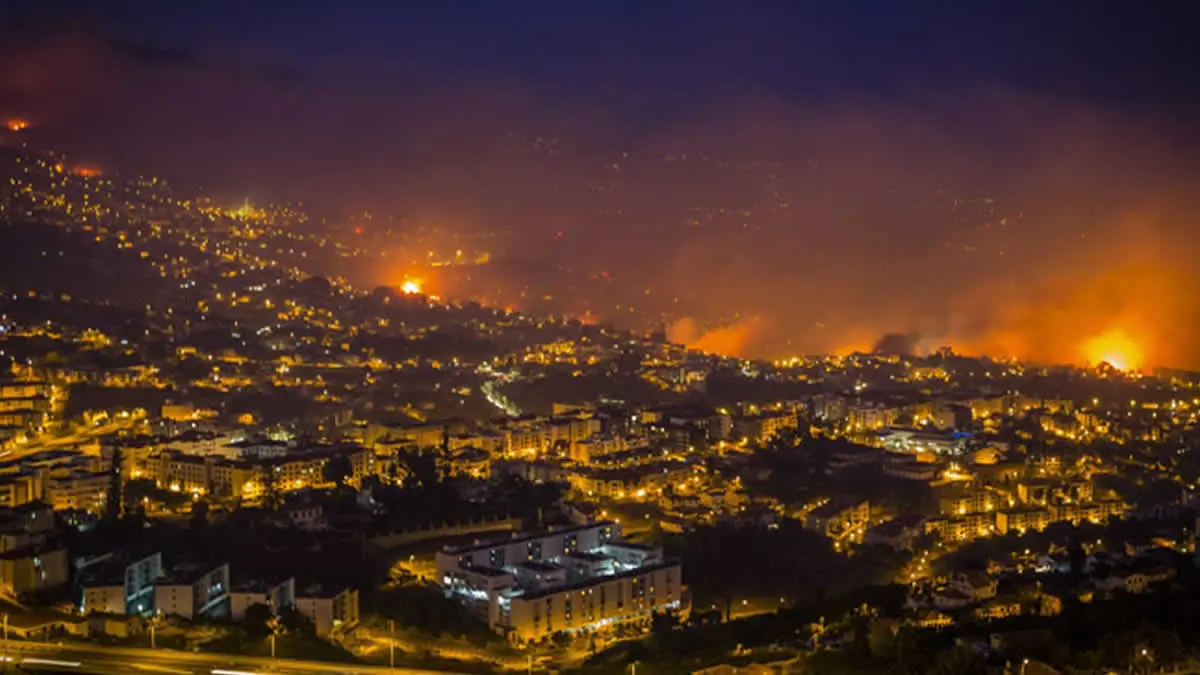Voraz incendio en Portugal deja muerte y desolación