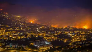 Voraz incendio en Portugal deja muerte y desolación