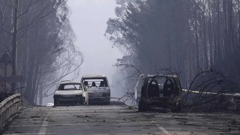 Portugal: Voraz incendio deja muerte y desolación 