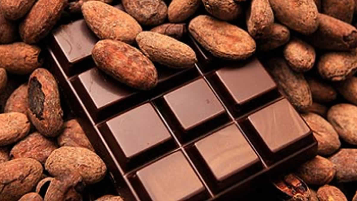 CacaoNicaragua, lo mejor del grano para exportación