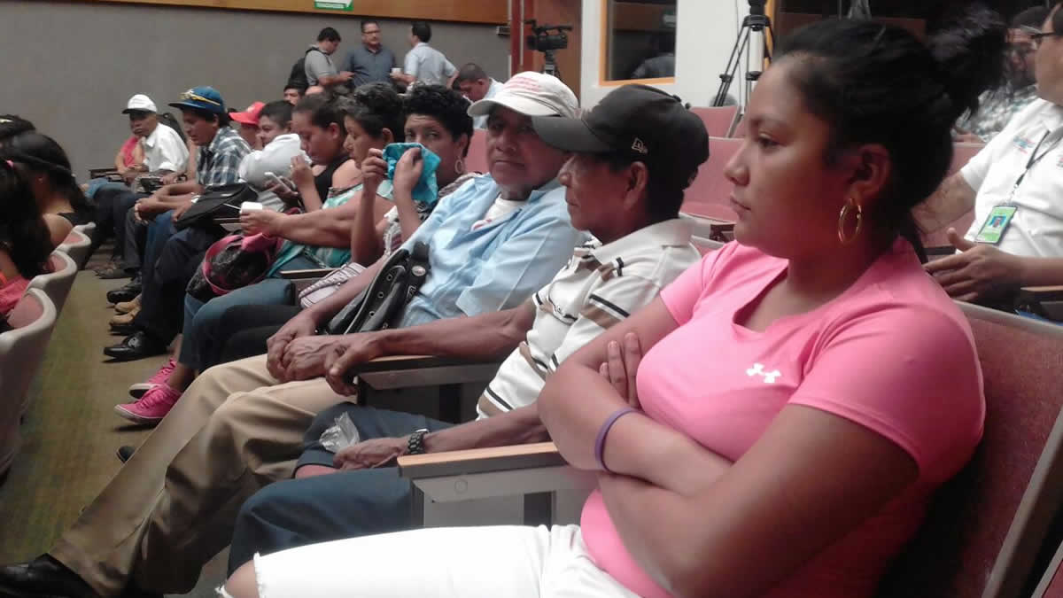 Desarrollan estrategia nacional para fortalecimiento de producción de hortalizas