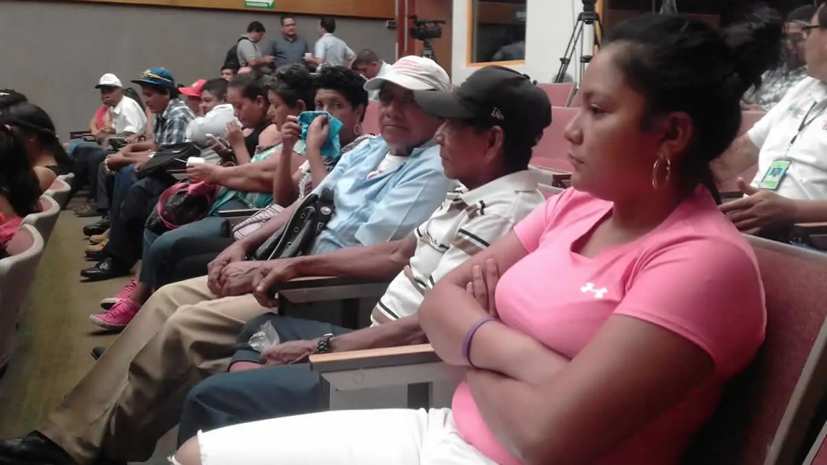 Desarrollan estrategia nacional para fortalecimiento de producción de hortalizas