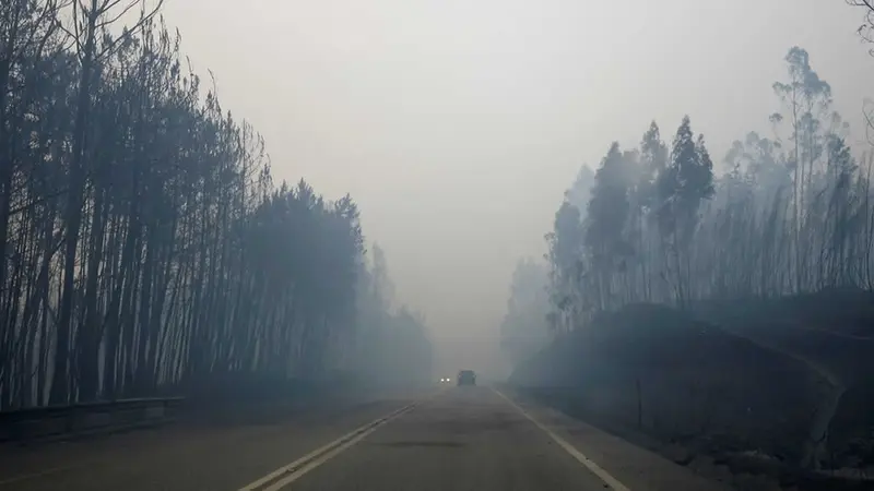 Portugal continúa en alerta de incendio Forestal
