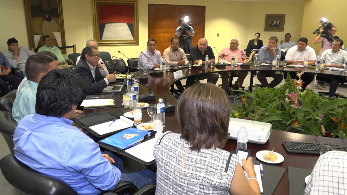 Sector avícola define líneas de trabajo para los próximos seis meses