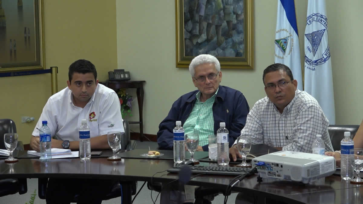 Sector avícola define líneas de trabajo para los próximos seis meses