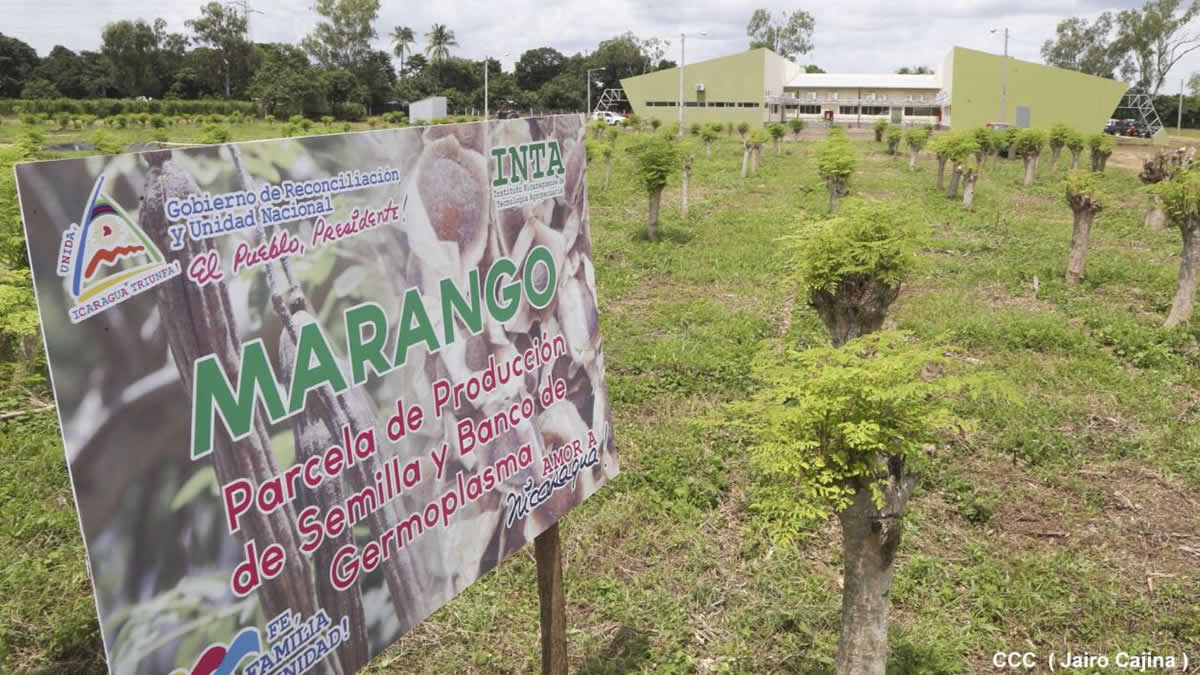 Inauguran Centro de desarrollo tecnológico en Posoltega, Chinandega