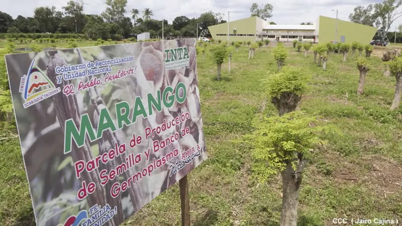Inauguran Centro de desarrollo tecnológico en Posoltega, Chinandega
