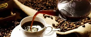 Nicaragua celebra Día Internacional del Café con presencia en 47 países a nivel internacional