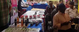 Productores del municipio de La Conquista realizan Feria Tecnológica del Frijol