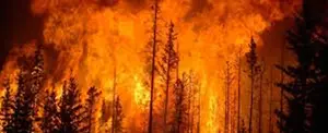 Alrededor de 20 mil afectados y 10 fallecidos dejan voraces incendios en California