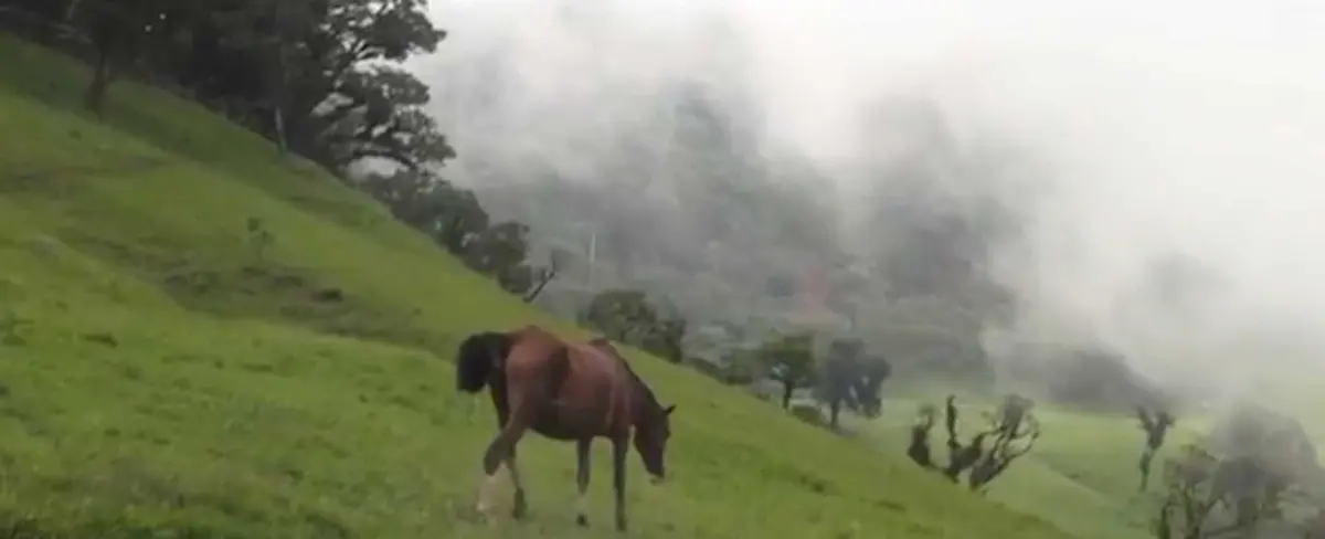 Las Sabanas, un verdadero remanso de paz