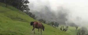 Las Sabanas, un verdadero remanso de paz