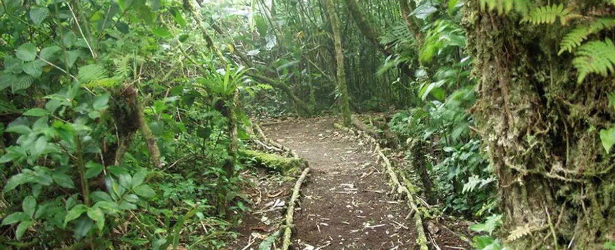 Reserva Volcán Mombacho, la mejor opción para hacer senderismo