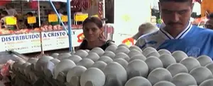 Se registra incremento en producción de huevo durante el 2017