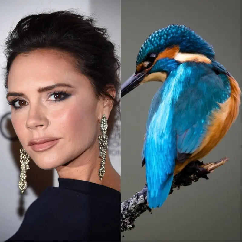 Conocé algunos secretos de bellezas más insólitos de las famosas