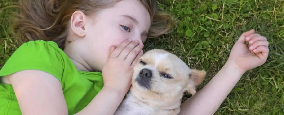 Experimento muestra cómo los perros conectan con humanos