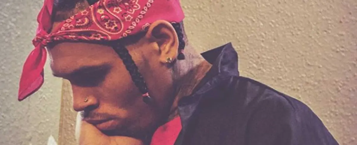 Chris Brown a puertas de la cárcel por tener mono capuchino