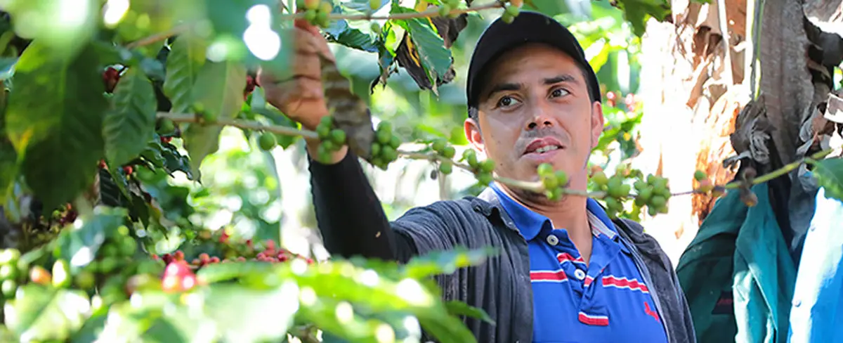 Pueblo Nuevo inaugura Centro de Acopio de Café