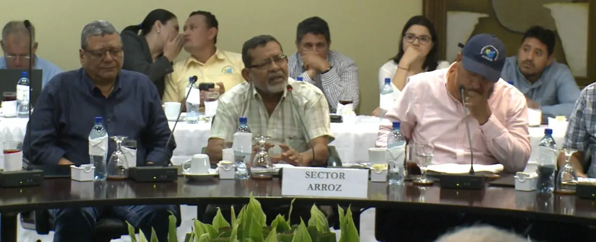Sector arrocero abastecerá el mercado nacional