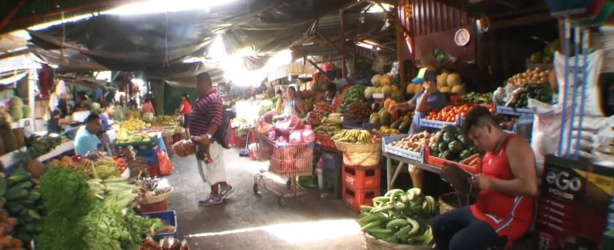 Bajan precios de la Canasta Básica