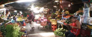 Bajan precios de la Canasta Básica