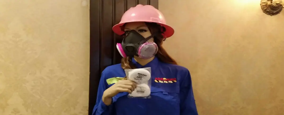 "Moldex" empresa de artículos de protección, ya brinda servicios en Nicaragua