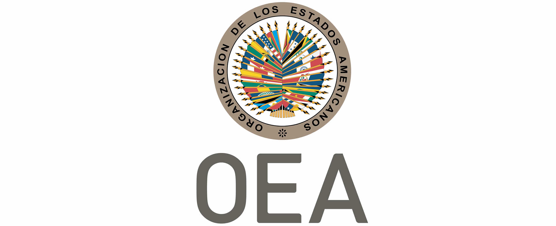 Secretaría General de la OEA condena la violencia en Nicaragua