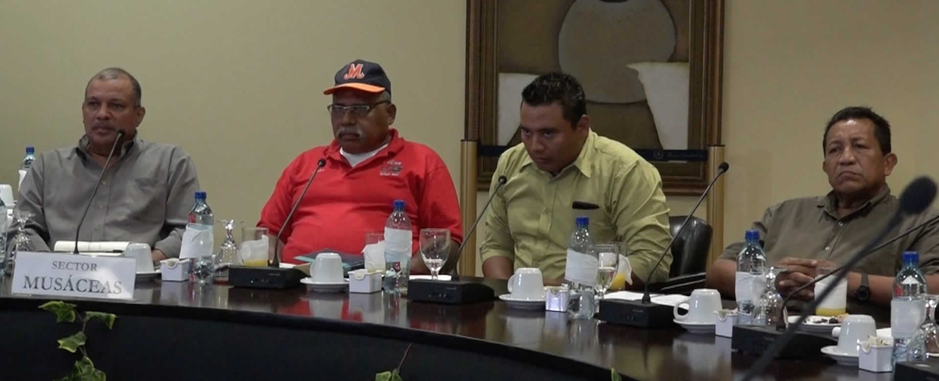 Agricultores de plátanos reconocen avances del sector con el Gobierno Sandinista