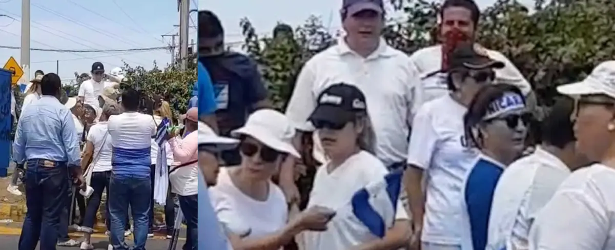 Vídeo viral en redes muestra a Pacifistas discutiendo entre sí en la marcha este domingo