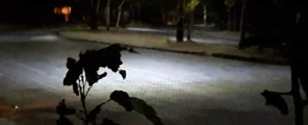 Enfrentamiento entre antisociales pone tensa zona cercana a la UPOLI