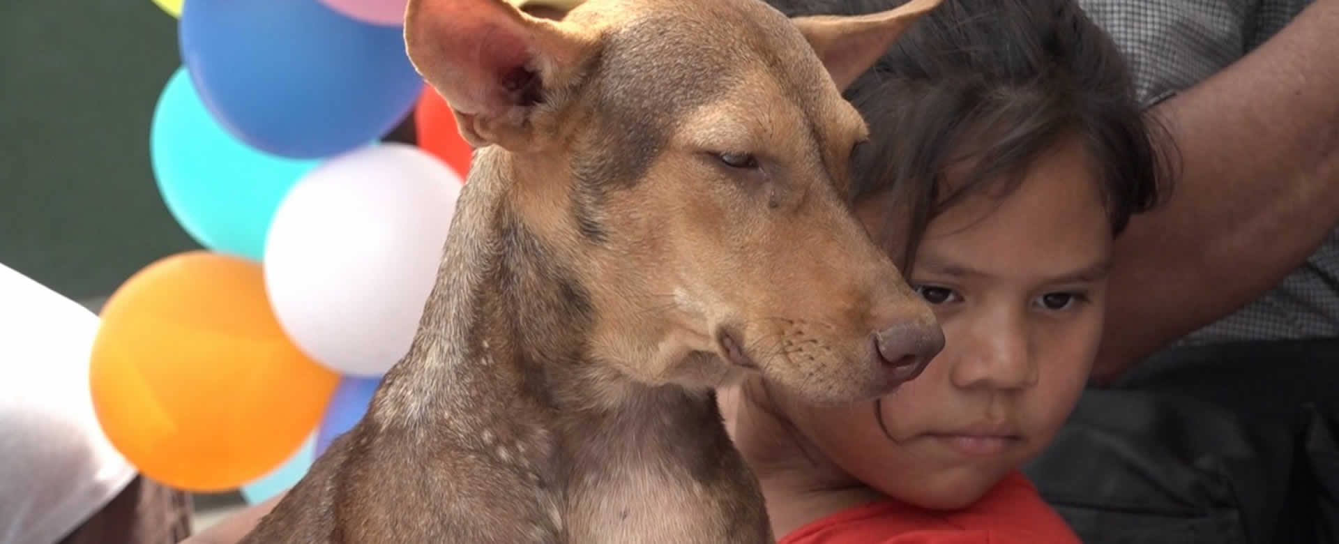 Llevan a cabo Jornada de Vacunación Canina