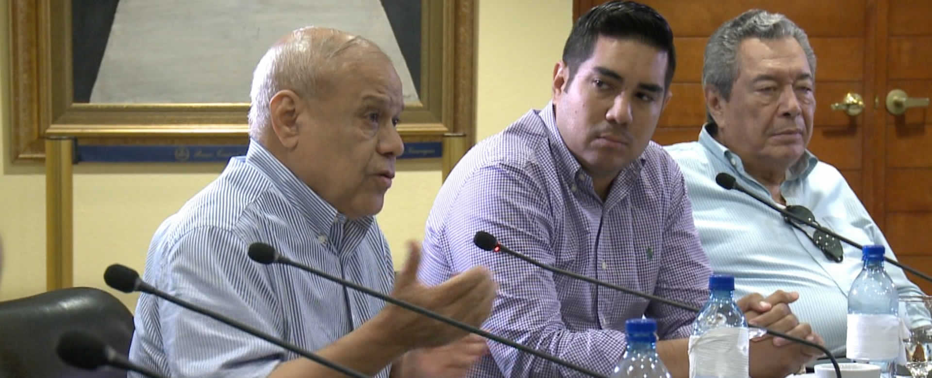 Porcicultores prevén producir 30 millones de libras los próximos meses