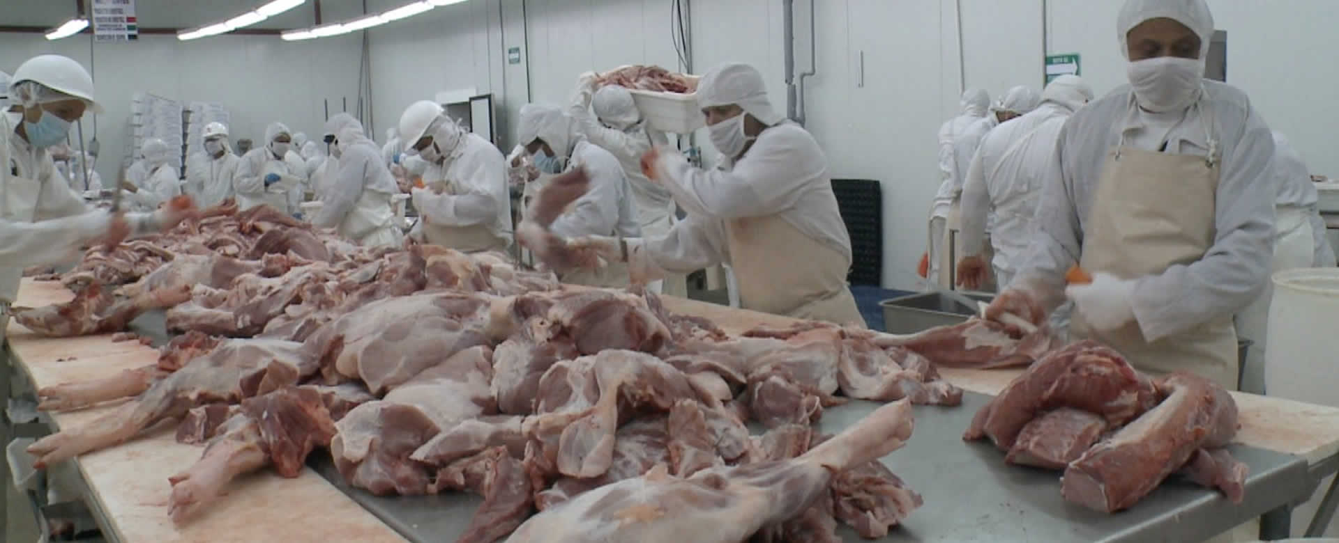 Aumenta índice de producción en carnes, granos básicos y hortalizas