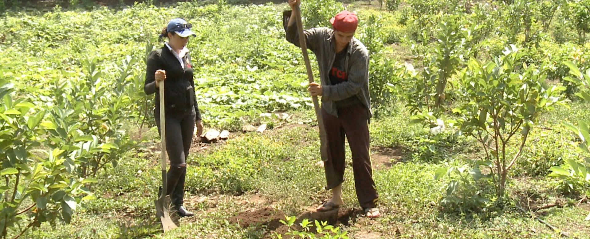 Ministerio Agropecuario desarrolla Plan de Producción 2018-2019