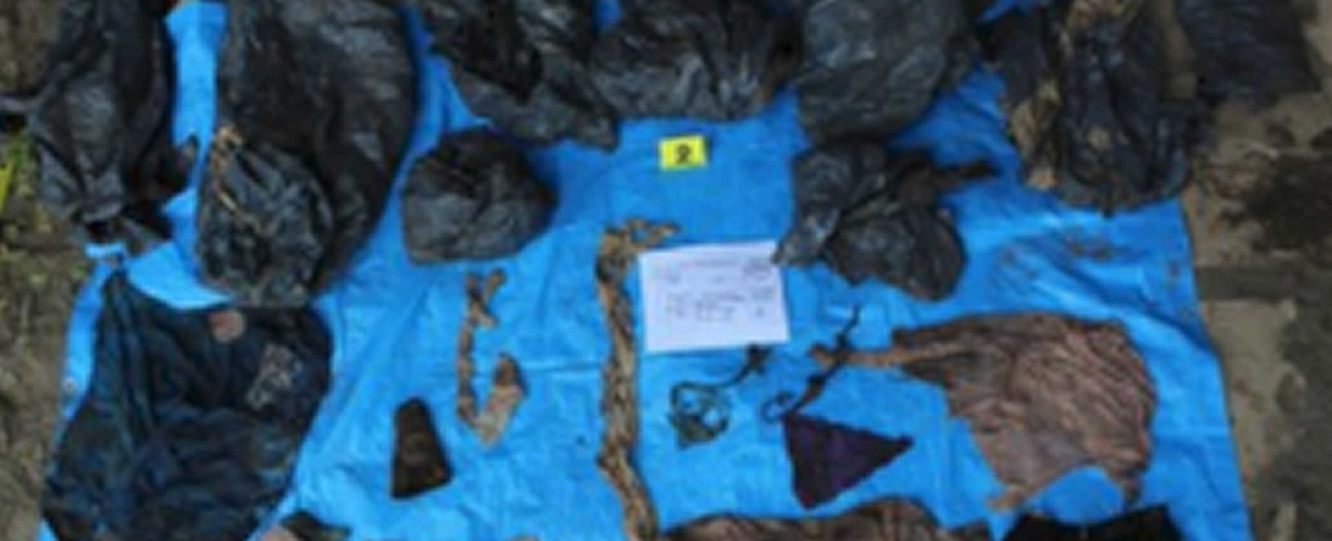 Veracruz: Exhuman 166 cráneos humanos en fosas comunes clandestinas
