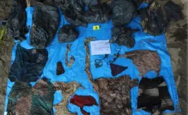 Veracruz: 166 cráneos humanos en fosas comunes clandestinas