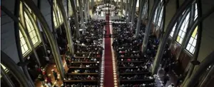 Obispos católicos en Estados Unidos planean crear una "linea especial" para denunciar a obispos que hayan abusado o acosado sexualmente