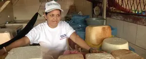 Producción de Maíz, Frijol rojo y Sorgo con mejor ciclo de postrera