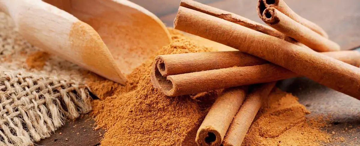 La diminutiva ramita aromática, trae grandes beneficios al cuerpo humano