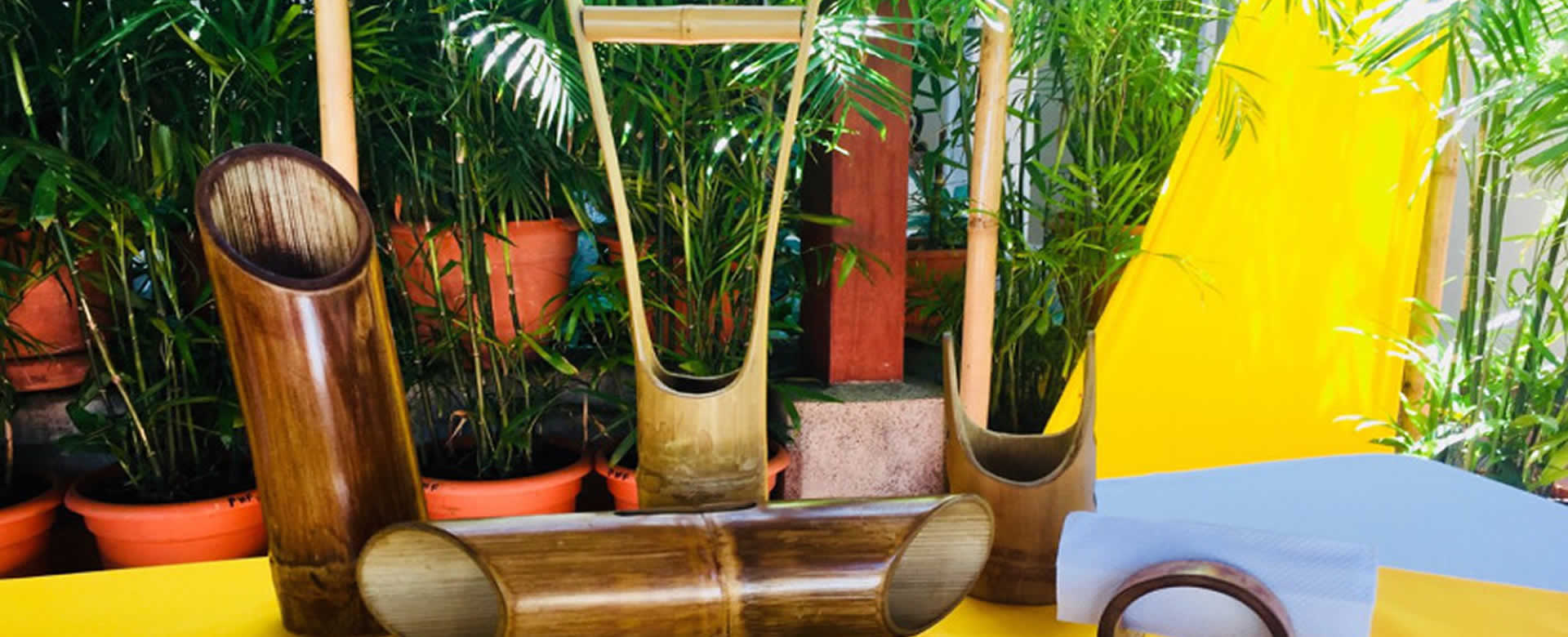 Artesanos nicaragüenses usan bambú como principal materia prima para crear