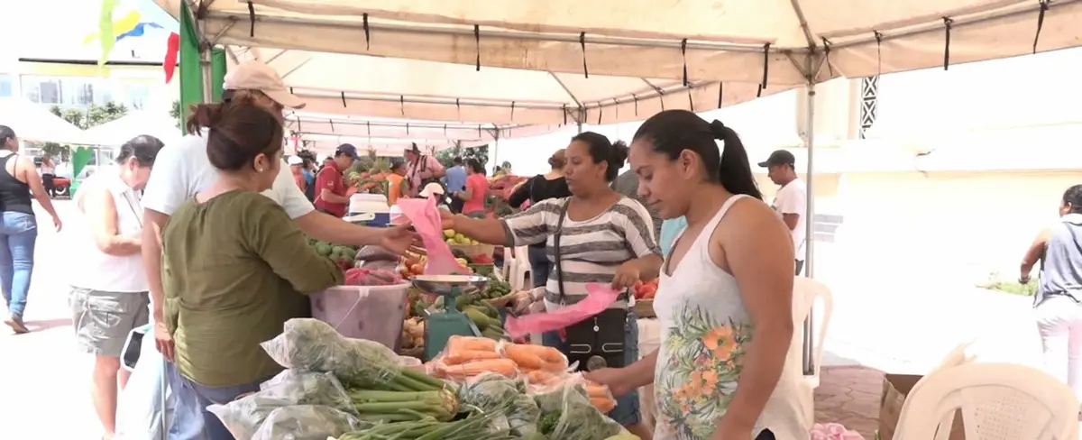 Mercadito Campesino llega a la Plaza 22 de Agosto