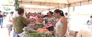 Mercadito Campesino llega a la Plaza 22 de Agosto