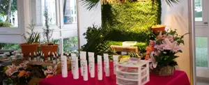 Nicaragua Diseña año con año brinda oportunidades a los emprendedores con la Expo Feria