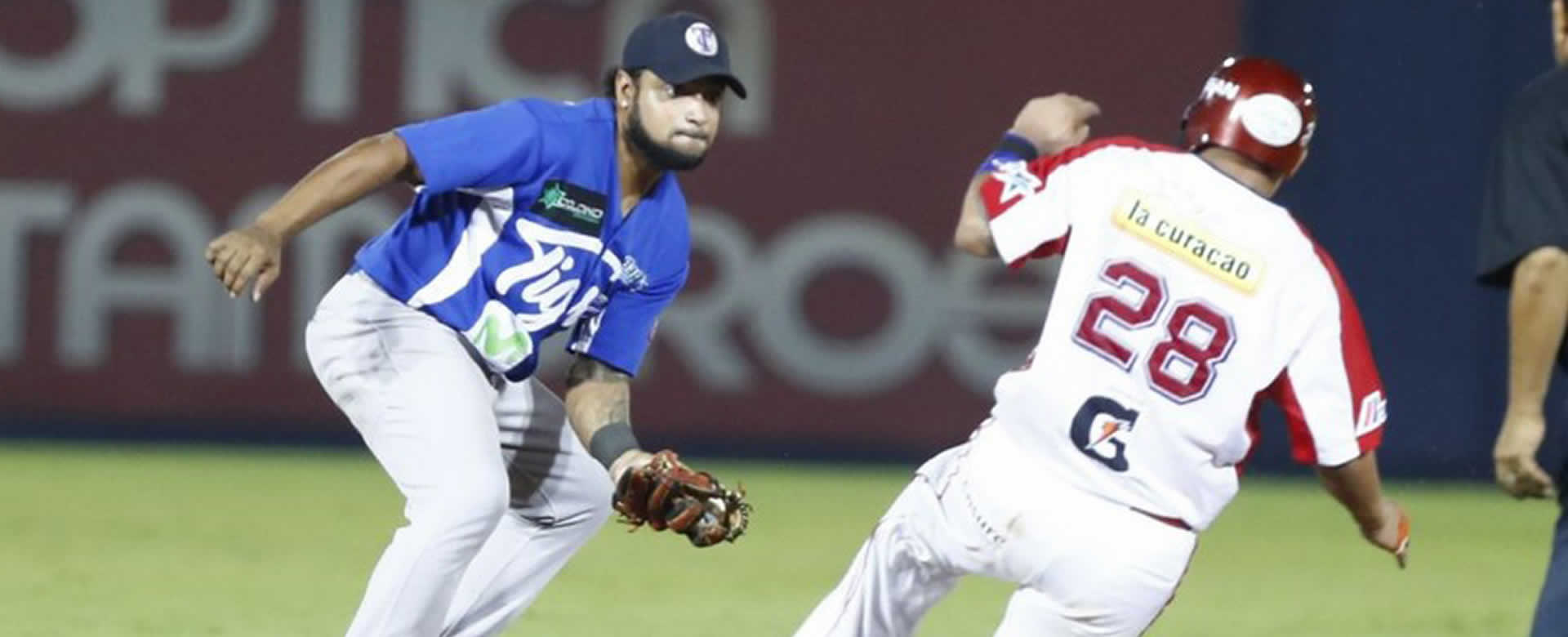 Arriban primeros peloteros extranjeros del Roster de la Liga Profesional