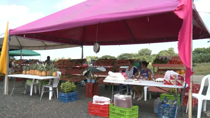 Comerciantes del mercado campesino ofertan sus productos a precio solidario