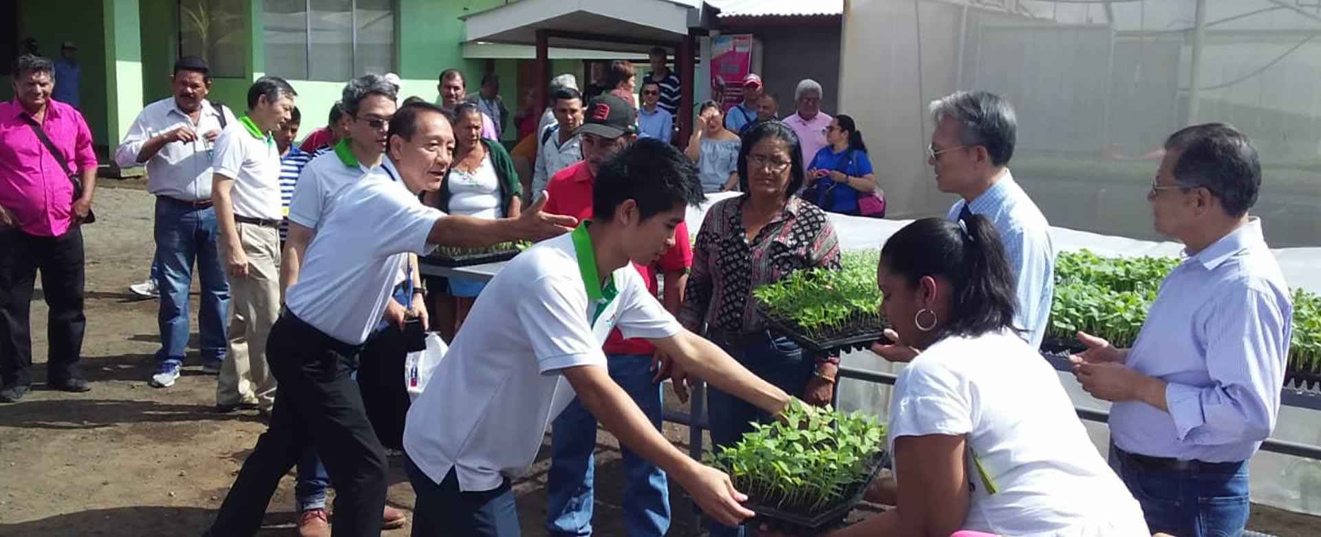 Misión China (Taiwán) y pequeños productores inauguran invernadero de plántulas de frutas y hortalizas