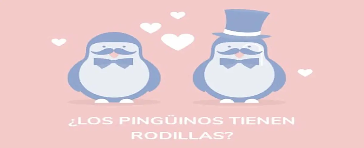 Cosas que quizás no sabias sobre los Pingüinos