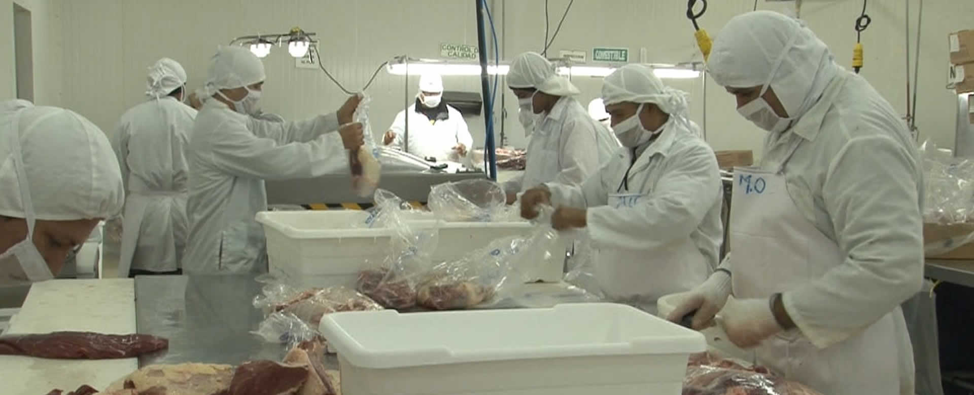 Aumenta producción y comercialización de carne bovina