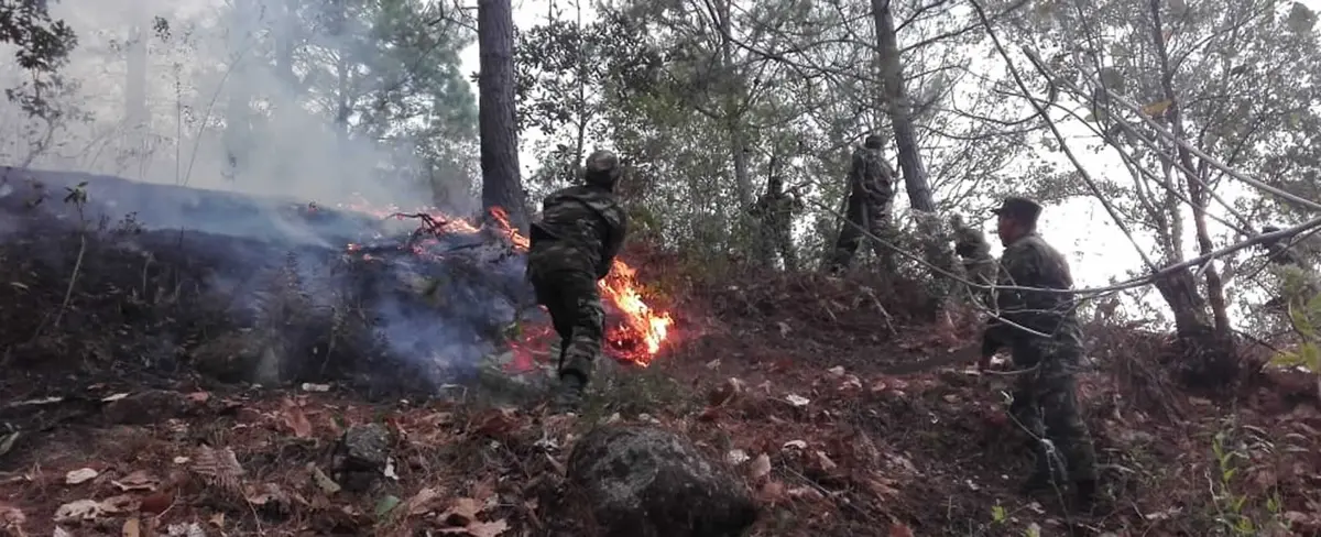 COMUPRED sofoca incendio forestal en una comunidad de Somoto