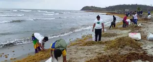 Las Playas del Bluff listas para recibir a los veraneantes en esta Semana Santa
